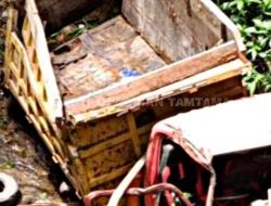 Picsart 25 11 27 18 53 36 490