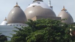 A50b024dee7a9772c5110f568e4a01ffc2538a1ea8f52e7402b5db40a235becb.0