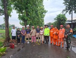 Respon cepat Kapolsek Ngronggot bersama BPBD pemdes Kaloran evakuasi pohon Tumbang di bulakmiri