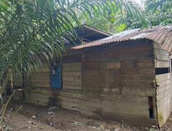 Rumah Warga Miskin Tak Layak Huni di Ganting Damai, Warga Minta Bupati Kampar Bertanggung Jawab hingga Libatkan Presiden Prabowo
