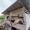 Usaha Jual Beli Kambing Domba “Th38rother’s farm” Hadir di Karang Bahagia