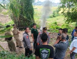 Polres Pasuruan Bongkar Arena Judi Sabung Ayam di Pandaan