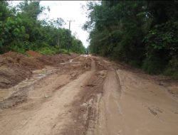 Screenshot 2025 12 06 07 17 35 41 6012fa4d4ddec268fc5c7112cbb265e7