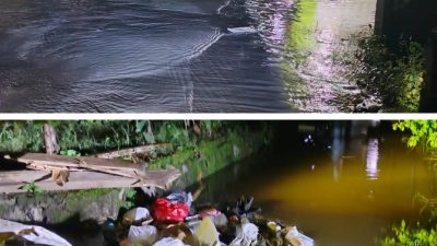 Screenshot 2025 12 21 20 27 48 67 99c04817c0de5652397fc8b56c3b3817