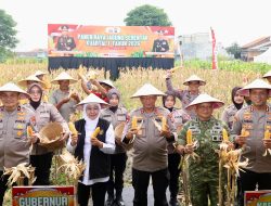 Gambar 20260108 Wa0044