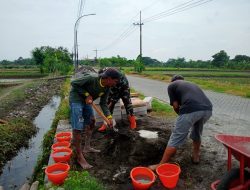 Babinsa Desa Cermen Aktif Dampingi Warga Bangun Plengsengan Jalan Pertanian