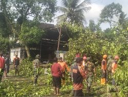 TNI–BPBD Sigap Evakuasi Pohon Tumbang di Sumberdadi Trenggalek