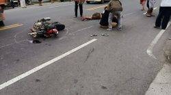 2789b35bd5f24542ba8c6b32e6e32fdb