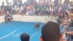 Screenshot 20260302 202144