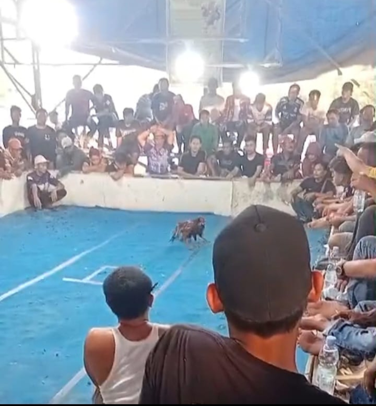 Screenshot 20260302 202144