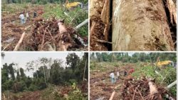 Screenshot 20260307 200548