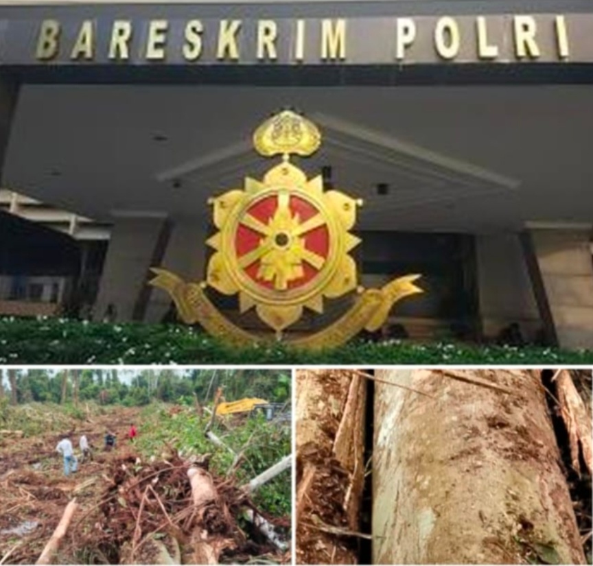 Screenshot 20260307 201548