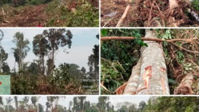 Screenshot 20260307 201619