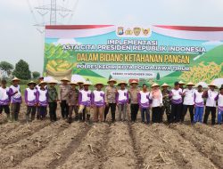 Wujudkan Asta Cita Bidang Ketahanan Pangan Polres Kediri Kota Bersama Masyarakat Tanam Jagung