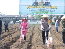 Wujudkan Ketahanan Pangan Mandiri, Polres Blitar Kota Bersama Masyarakat Tanam Jagung di Lahan Aset Polri