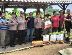 Polsek Krian Berikan Bantuan Bibit Jagung Dan Pupuk Untuk Dukung Program Ketahanan Pangan Nasional