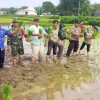 Babinsa Koramil 02/Socah Tanam Padi Bersama, Tingkatkan Ketahanan Pangan