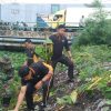 Cegah Banjir Polisi bersama TNI Bersihkan Sampah dan Enceng Gondok di Sungai Gebang Sidoarjo