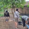 Polres Nganjuk Gerebek Lokasi Sabung Ayam di Lengkong, Pelaku Kabur