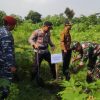 Sinergitas Polres Probolinggo Bersama TNI Lestarikan Lingkungan Tanam Pohon di Gunung Bentar