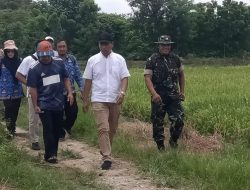 Peltu Imam Ahwan Dampingi Penyerapan Hasil Panen Gabah Petani oleh Bulog di Wilayah