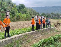 TNI dan BPBD Trenggalek Bergerak Cepat! Saluran Irigasi Jebol, Rumah Warga dan Sawah Terancam