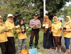 Polsek Lengkong Panen Kedua dalam Program Pemanfaatan Pekarangan Lestari