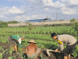 Petani Desa Sukorejo Apresiasi Kepedulian Bhabinkamtibmas
