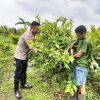 Polsek Taman Pantau Tanaman Hortikultura untuk Hasil Optimal