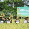 Brigjen TNI Ramli Ngaku Puas dengan Hasil Ketahanan Pangan di Wilayah Kodim Lamongan