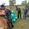 Program Asta Cita Pemerintah :Sinergi TNI dan Petani dalam Rangka Mewujudkan Ketahanan Pangan