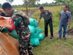Program Asta Cita Pemerintah :Sinergi TNI dan Petani dalam Rangka Mewujudkan Ketahanan Pangan