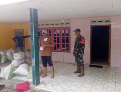 Jaga Stabilitas Harga, Babinsa Koramil 0801/03 Arjosari Kawal Serapan Gabah