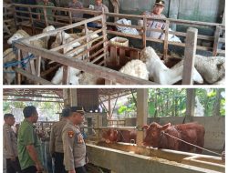 Dorong Ketahanan Pangan, Polsek Berbek Pantau Perkembangan Ternak Warga Sonopatik