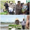 Nganjuk Dukung Swasembada Pangan Lewat Gerakan Tanam Padi Serentak