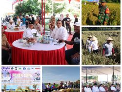 Dukung Ketahanan Pangan, Forkopimda Kabupaten Blitar Panen Raya Dan Sosialisasi Padi Sehat Organik