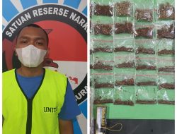 Satreskoba Polrestabes surabaya tangkap Pemuda Edarkan Tembakau Sintetis dan Barang Bukti di sita Petugas