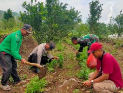 Polres Nganjuk Bersama Warga Tani Kembali Tanam Jagung Wujudkan Ketahanan Pangan Berkelanjutan