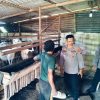 Pemanfaatan Lahan Pekarangan, Bhabinkamtibmas Betet Dukung Ketahanan Pangan
