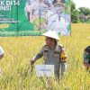Kapolres Nganjuk Hadiri Panen Raya Padi Serentak, Tegaskan Komitmen Dukung Ketahanan Pangan