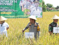 Kapolres Nganjuk Hadiri Panen Raya Padi Serentak, Tegaskan Komitmen Dukung Ketahanan Pangan
