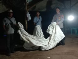 Berantas Perjudian Polisi Bongkar Arena Sabung Ayam di Nganjuk