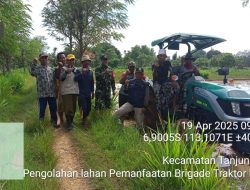 Sertu warsito dampingi uji coba traktor pembajak sawah di bumi anyar