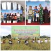 Semangat Gapoktan Dan Warga Kelurahan Klampok Rayakan Panen Padi Bersama Forkopimda Kota Blitar