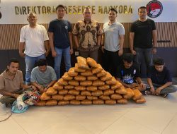 Polisi Gagalkan Peredaran 47 Kg Ganja di Sumbar, 4 Tersangka Ditangkap