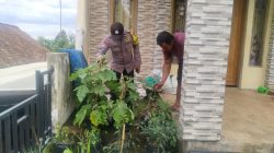 Img 20250501 Wa0648