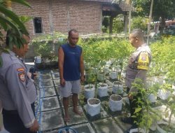 Polsek Ngetos Dukung Ketahanan Pangan, Pantau Pekarangan Sayur Warga