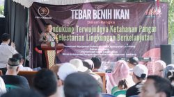 Img 20250508 Wa0204