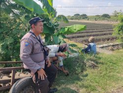 Polsek Lengkong Dukung Ketahanan Pangan Lewat Pemantauan Lahan Persawahan Warga