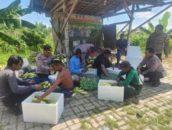 Dukung Ketahanan Pangan Nasional Polres Pelabuhan Tanjung Perak Gelar Panen Raya Jagung Manis ke-8,